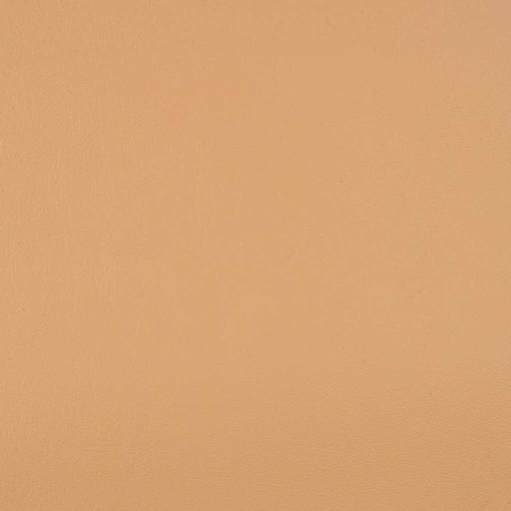 Sunbrella Horizon 54"  10200-0007 Capriccio Toast