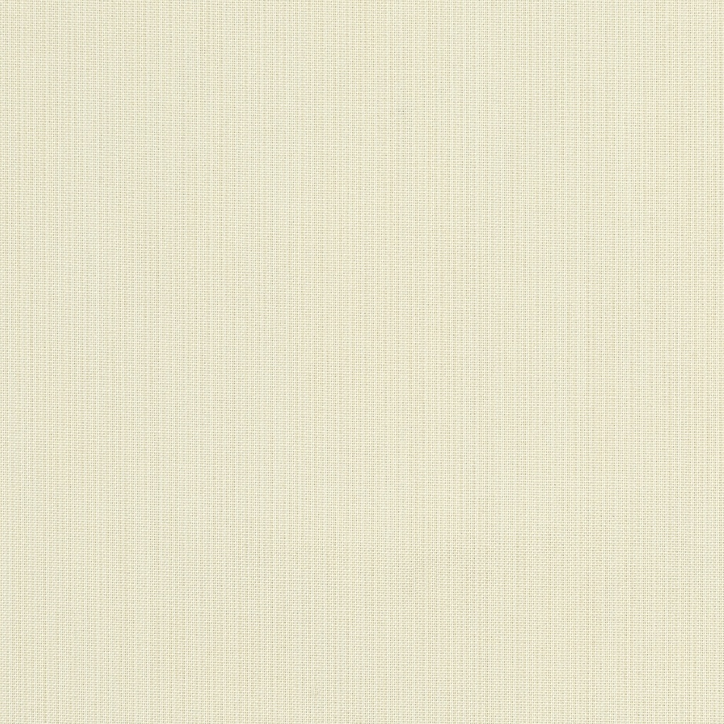 Sunbrella 54" 48018-0000 Spectrum Eggshell
