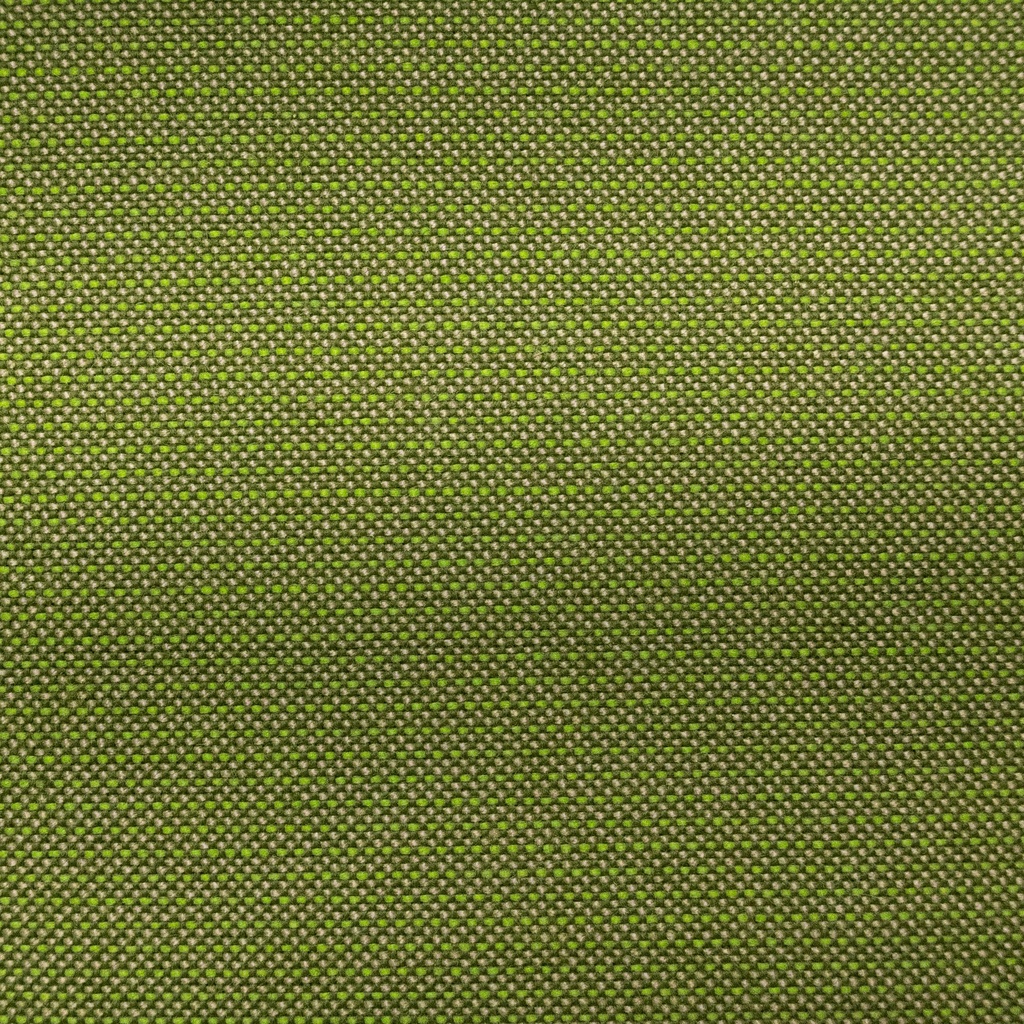 [743322] Sunbrella 54" 48022-0000 Spectrum Cilantro